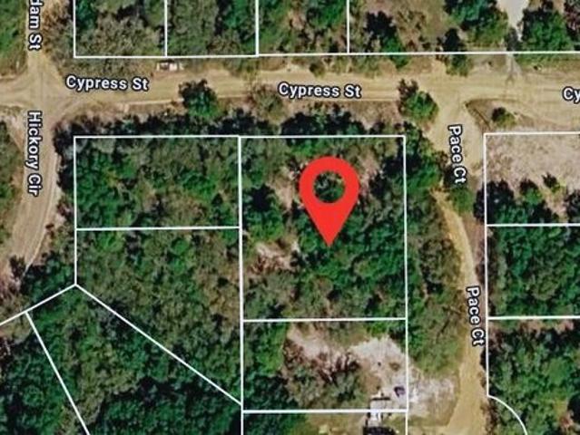 Land for sale in Interlachen, Putnam County
