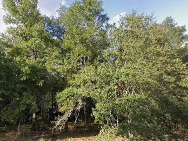 Land for sale in Interlachen Land for sale in Interlachen