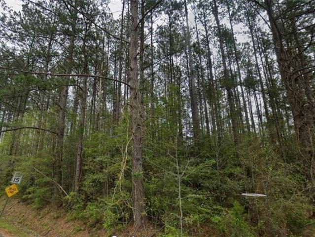 Land for sale in Independence, Louisiana