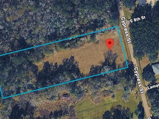 Land for sale in Independence, Louisiana