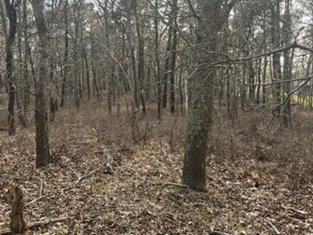 Land for sale in Dennis, Massachusetts