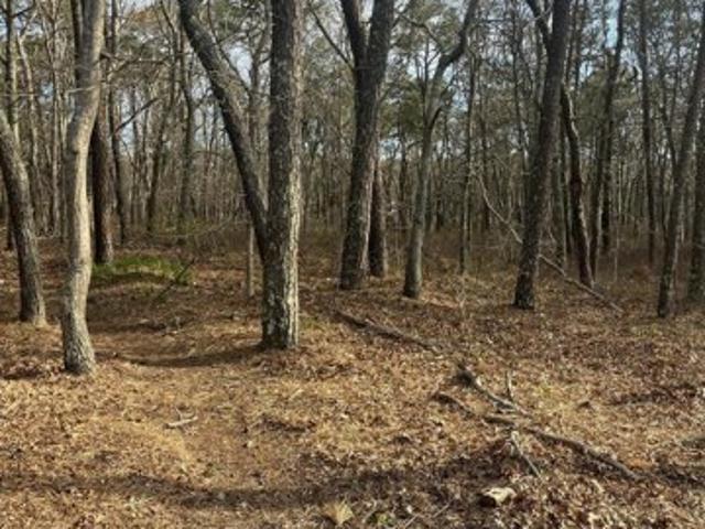 Land for sale in Dennis, Massachusetts