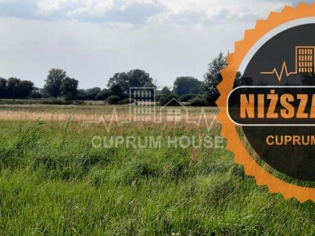 Grunt na sprzedaż w Radwanice, Dolnośląskie