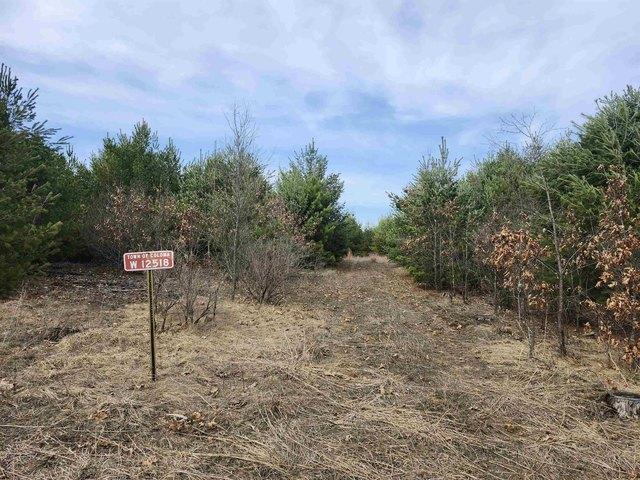 Land for sale in Coloma, Wisconsin
