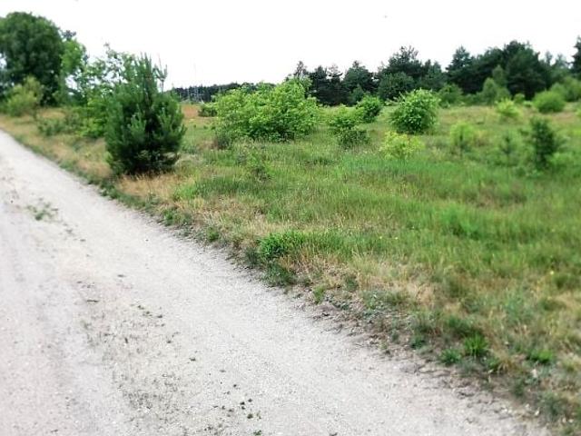 Grunt na sprzedaż w Zgorzelec, Dolnośląskie