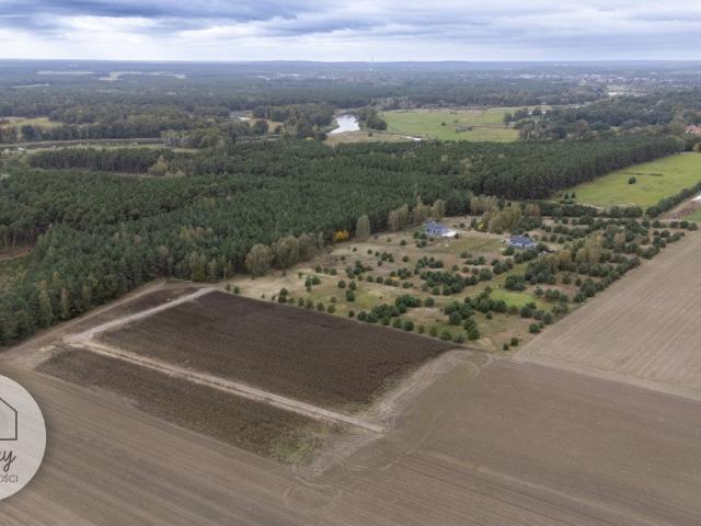 Grunt na sprzedaż w Czmoniec, Wielkopolskie
