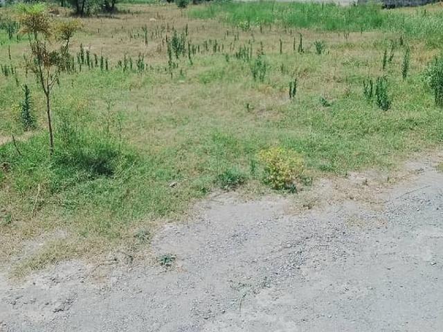 Land for sale in Islamabad