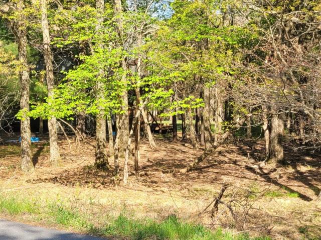 Land for sale in Carbon, Pennsylvania