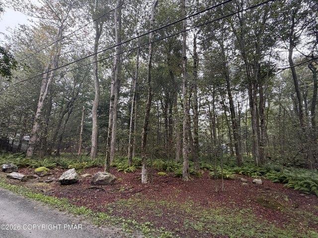 Land for sale in Newfoundland, Pennsylvania