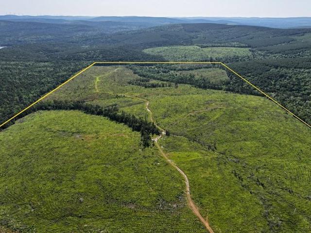 Land for sale in Antlers, Oklahoma