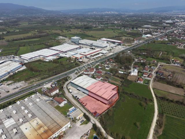 Düzce Merkez, Düzce içerisinde kiralık Fabrika