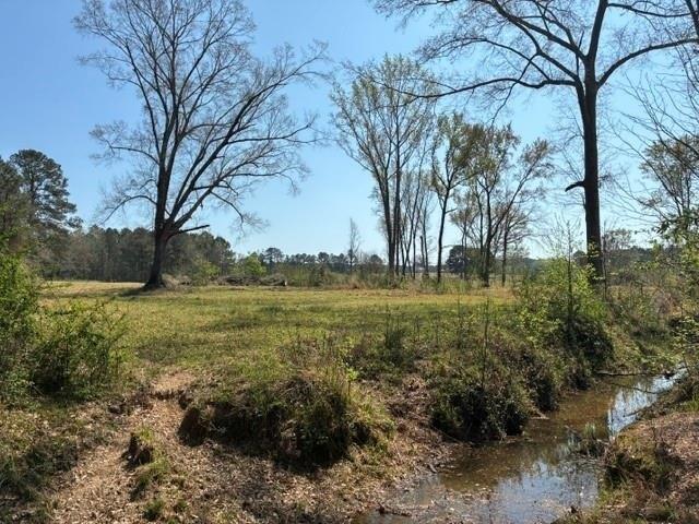 Land for sale in Minden, Louisiana