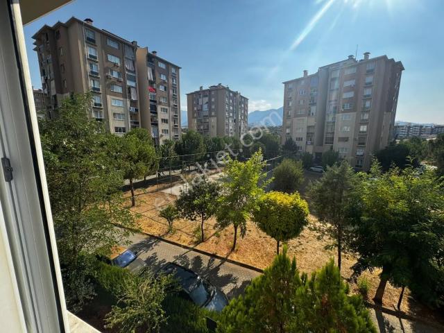 Denizli içerisinde kiralık mülk