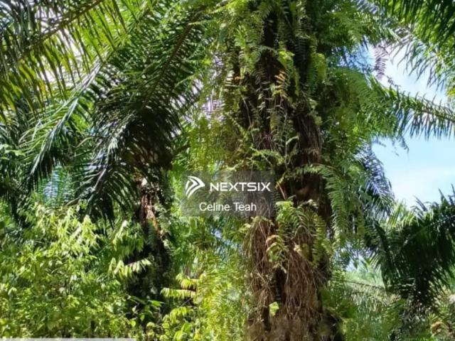 Residential House for sale in Kinabalu, Sabah