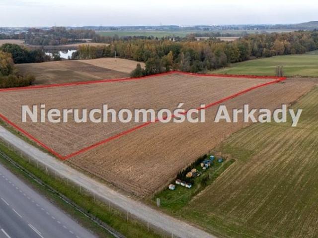Grunt na sprzedaż w Jastrzębie-zdrój, Śląskie