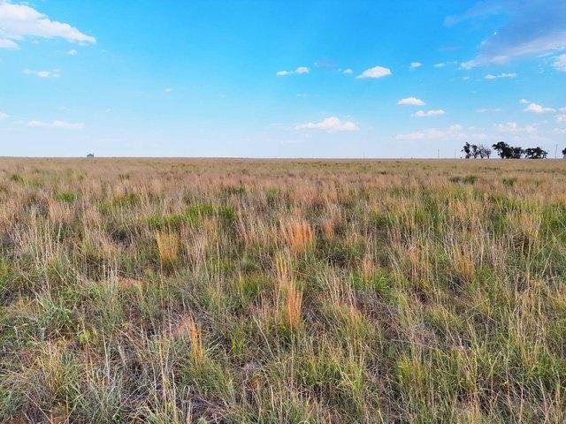 Land for sale in Kansas