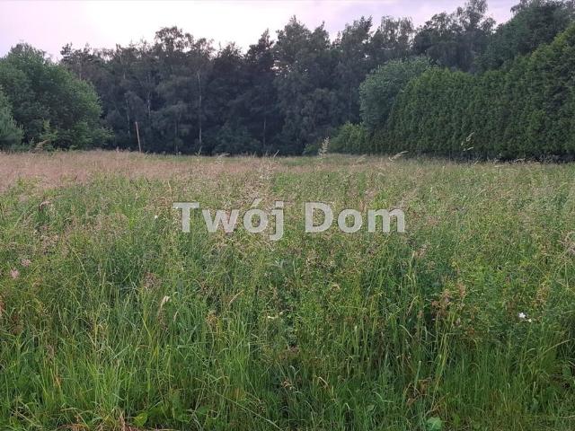Grunt na sprzedaż w Dąbrowa Chełmińska, Kujawsko-pomorskie