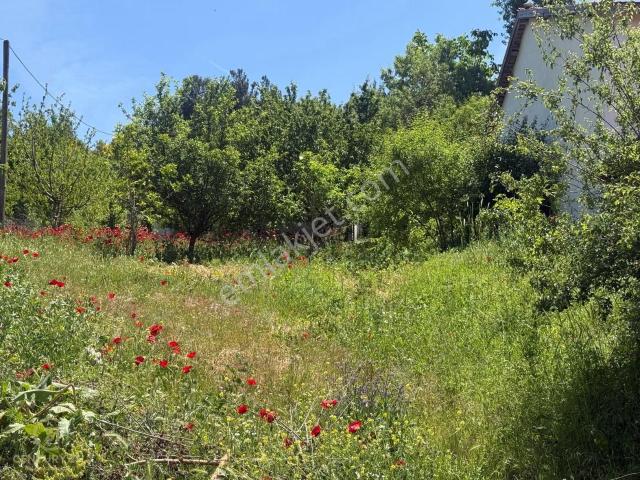 Balikesir içerisinde satılık Villa