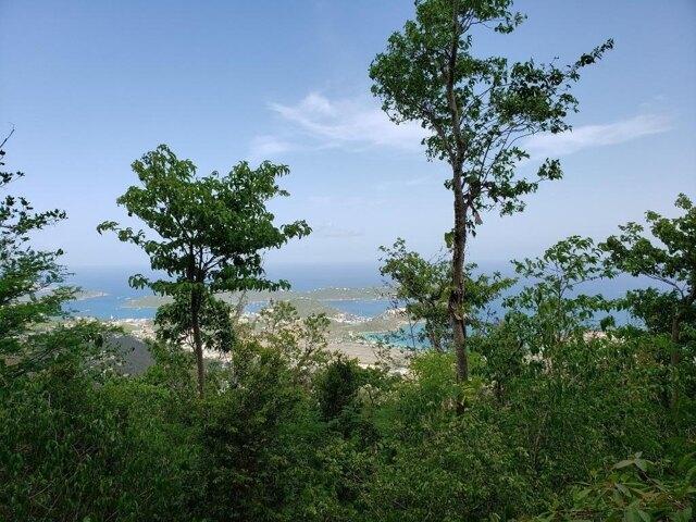 Land for sale in Saint Thomas, Missouri