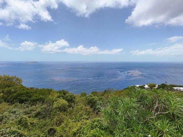 Land for sale in Saint Thomas, Missouri