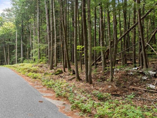 Land for sale in New Hampton, Belknap County