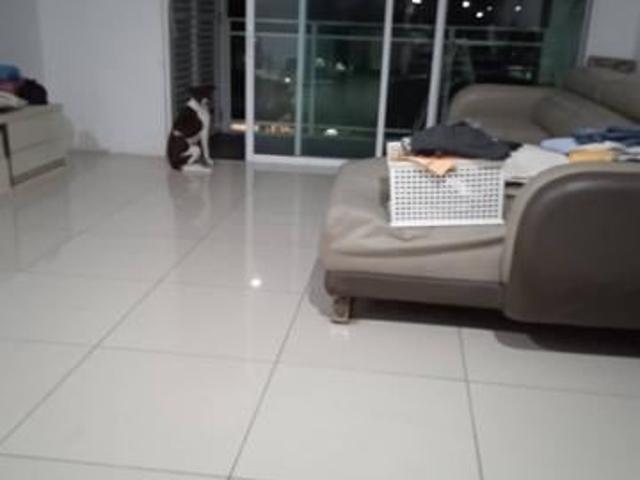Condominium for sale in Bukit Dumbar