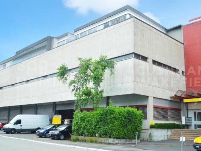Atelier mieten in Carouge (GE)
