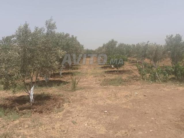 Propriété vente à Berrechid, Gharb-Chrarda-Beni Hssen