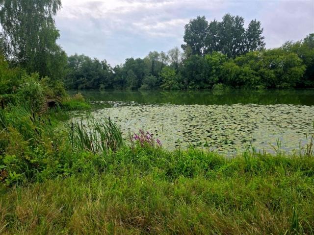 Dom na sprzedaż w Białobrzegi, Mazowieckie