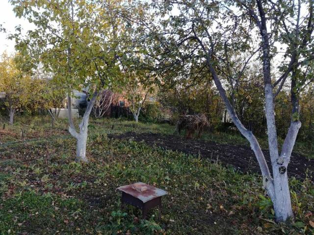 Дом продажа в Челябинская область