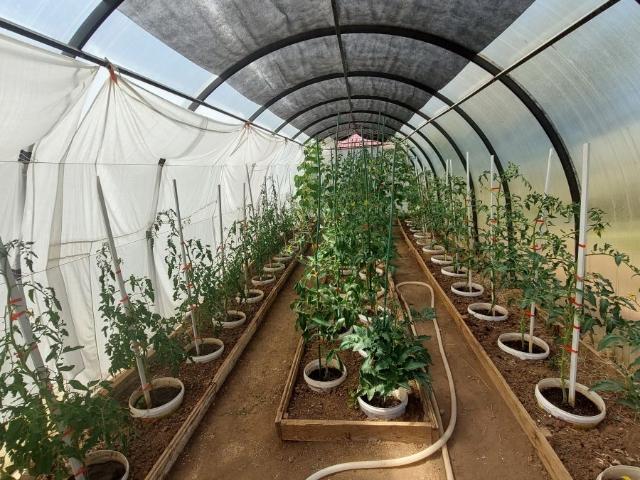 Дом продажа в Самарская область