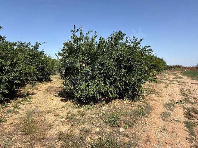 Çamtepe, Tarsus içerisinde satılık mülk