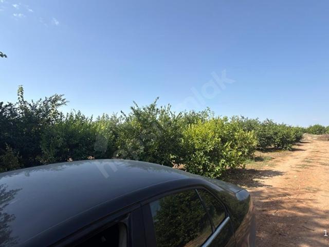 Çamtepe, Tarsus içerisinde satılık mülk