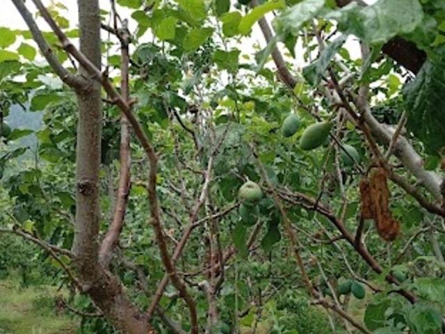 Toroslar, Mersin içerisinde satılık mülk