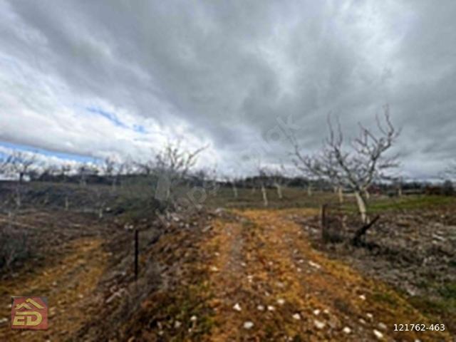 Kovanoluk, Buldan içerisinde satılık Arsa
