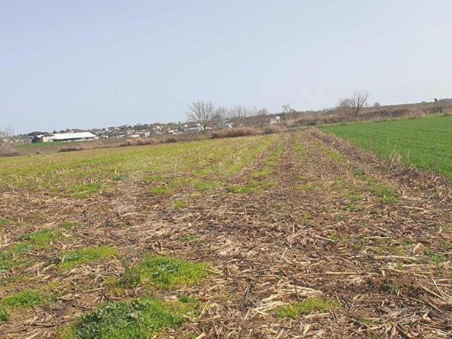 Karacabey, Bursa içerisinde satılık Arsa