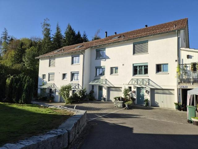 Immobilie kaufen in Dorf, Bubikon