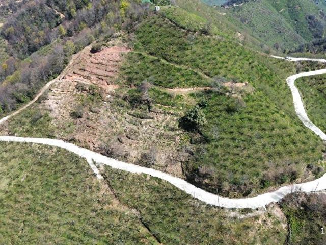 Bulancak, Giresun içerisinde satılık mülk