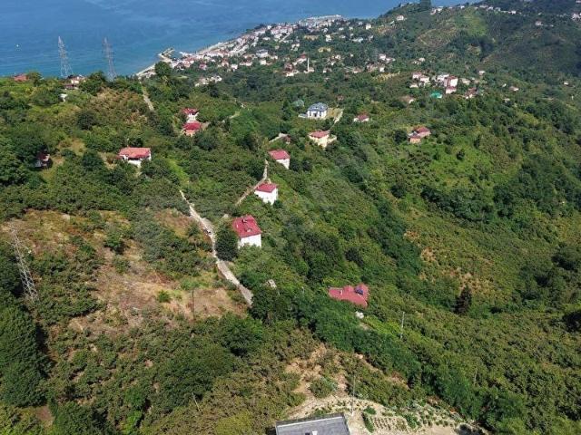 Küçüklü, Bulancak içerisinde satılık mülk