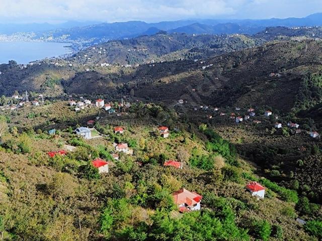 Küçüklü, Bulancak içerisinde satılık mülk