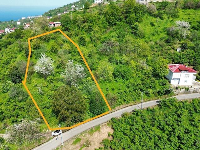 Samugüney, Bulancak içerisinde satılık Arsa