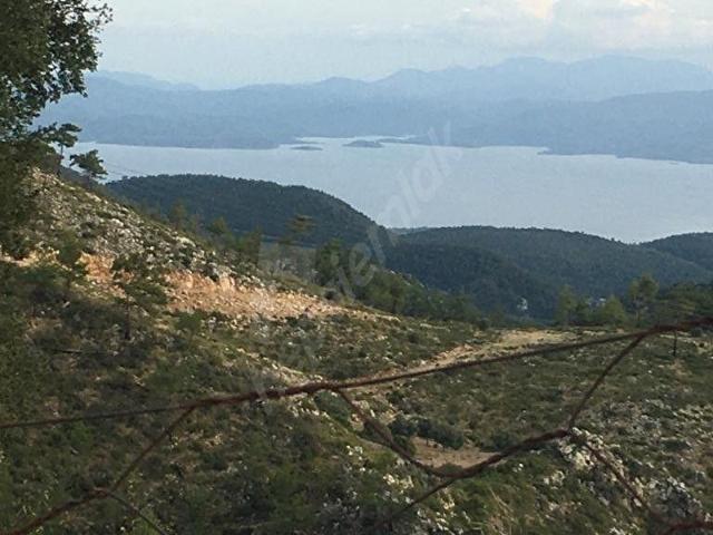 Muğla içerisinde satılık Arsa