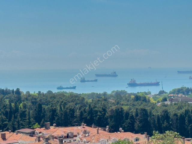 Bakirköy, İstanbul içerisinde satılık mülk