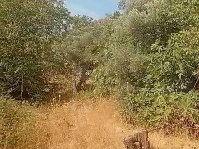 Dağyeni, Germencik içerisinde satılık mülk