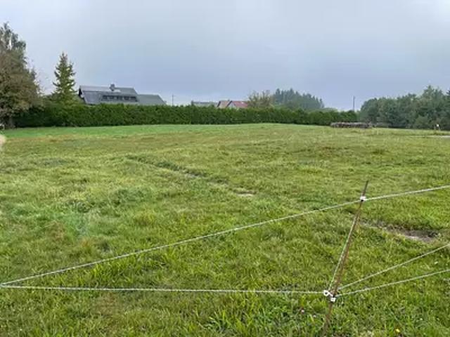 Terrain vente à Sarrebourg-Château-Salins, Dabo