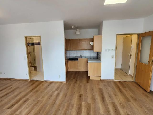 Apartment mieten in Katastralgemeinde Langenzersdorf, Langenzersdorf