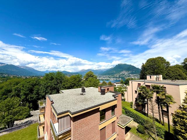 Wohnung kaufen in Paradiso, Tessin