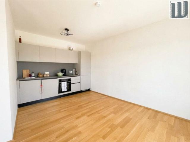 Apartment mieten in Wiener Neustadt
