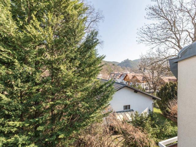 Apartment kaufen in Katastralgemeinde Hinterbrühl, Hinterbrühl