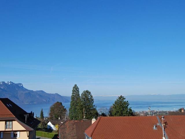 Wohnung kaufen in Blonay, Waadt